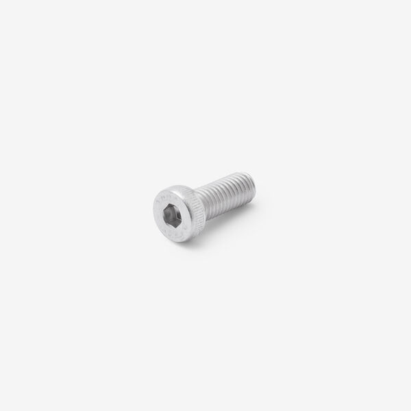 Bolt M8 x 20mm